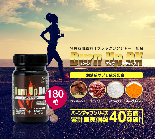 バーンアップDX